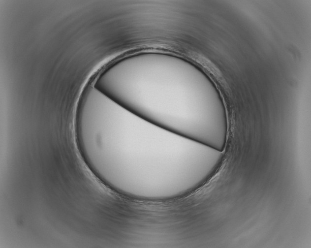 X0000113031028200908271050