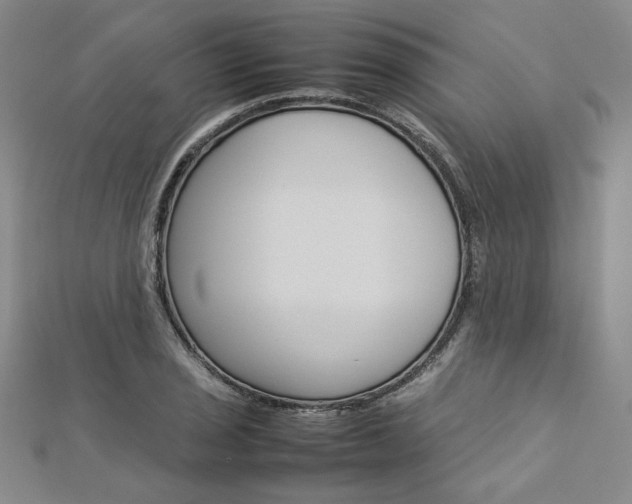X0000113031029200908271050
