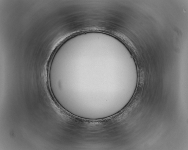 X0000113031031200908271050