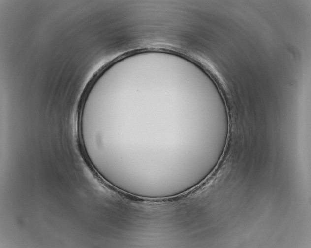 X0000113031032200908271050