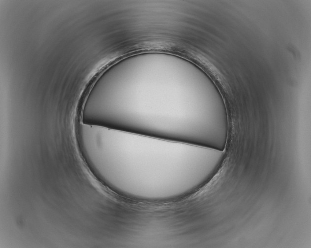X0000113031034200908271050