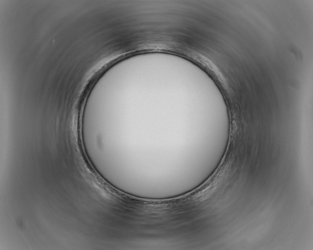 X0000113031035200908271050