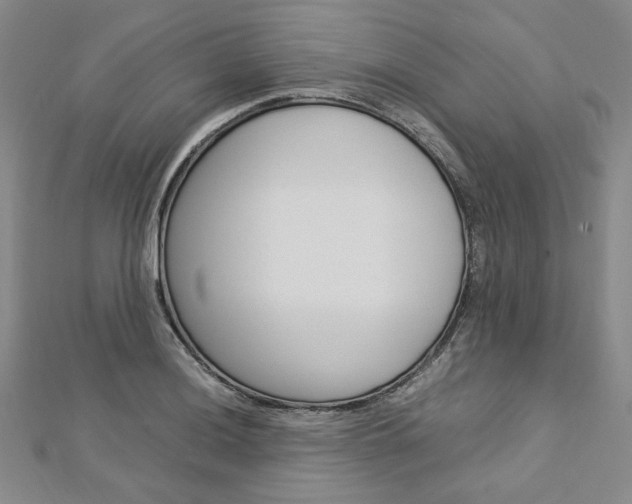 X0000113031036200908271050