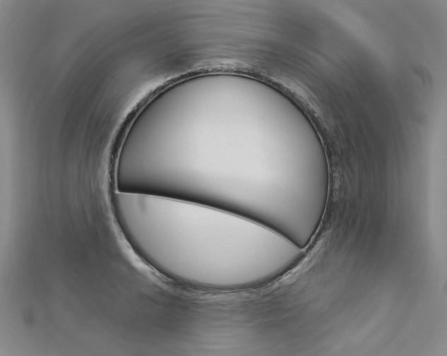 X0000113031038200908271051