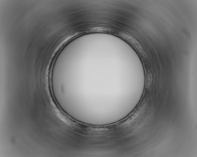 X0000113031039200908271051
