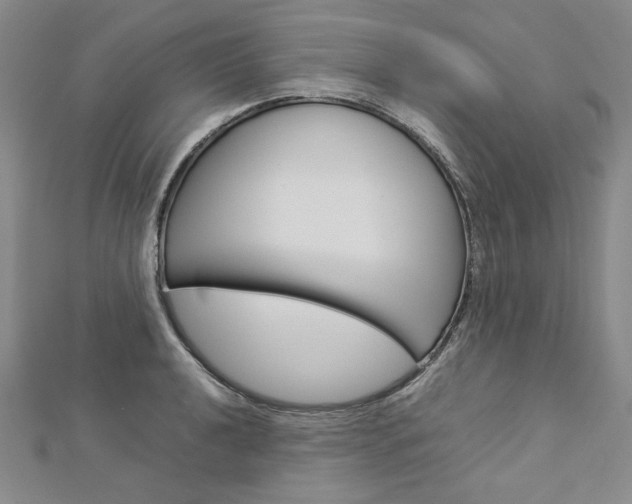 X0000113031040200908271051