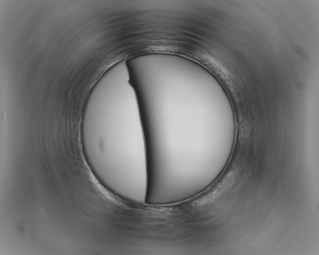 X0000113031041200908271051