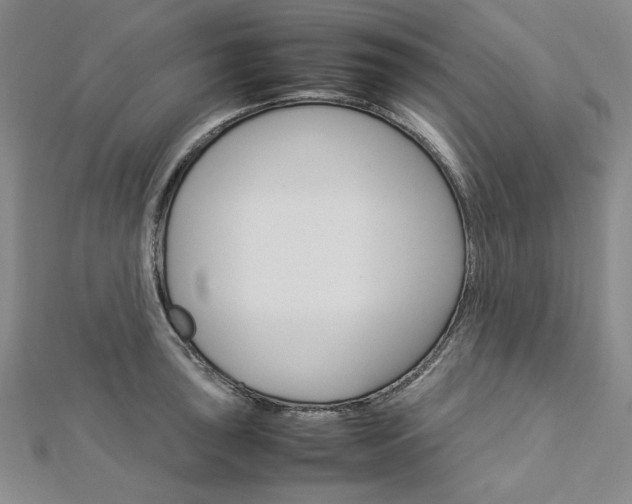 X0000113031043200908271051