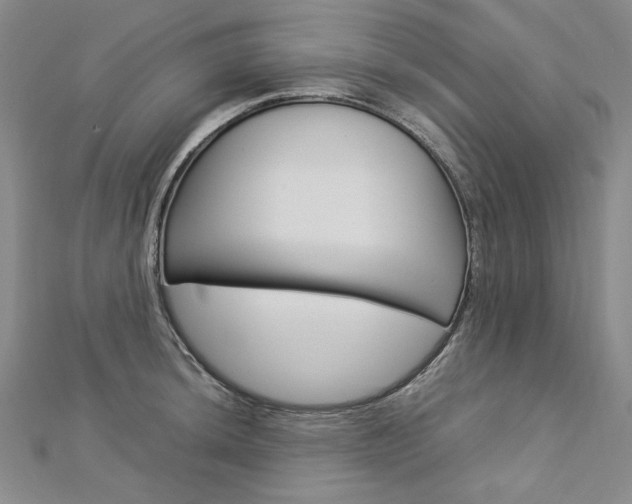 X0000113031044200908271051