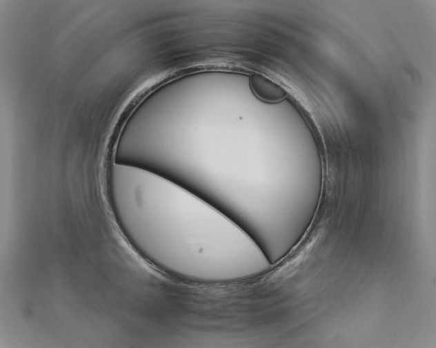 X0000113031045200908271051