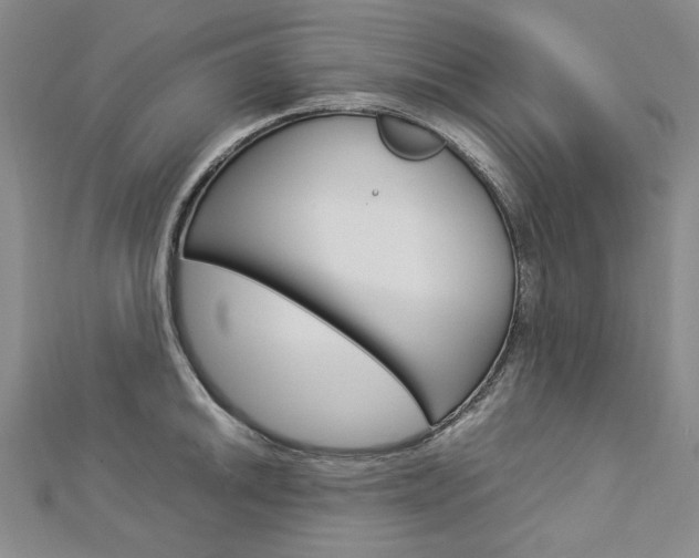 X0000113031046200908271051