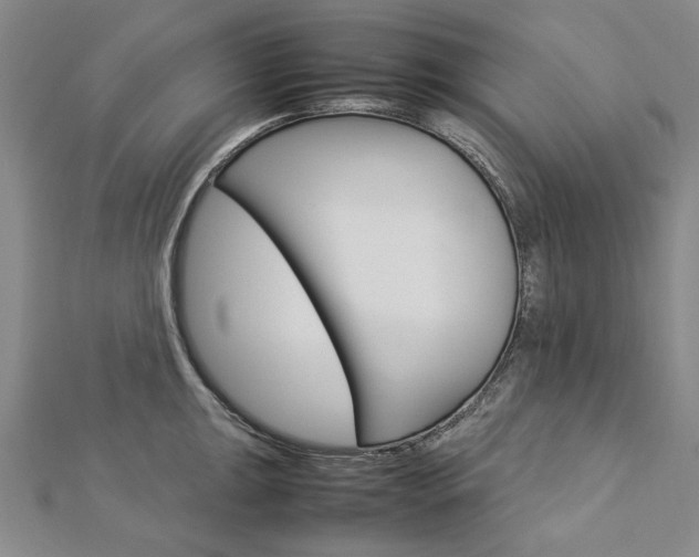 X0000113031047200908271051