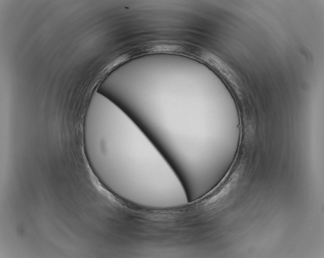 X0000113031049200908271051