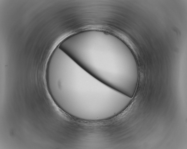 X0000113031050200908271051