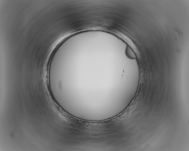 X0000113031051200908271051
