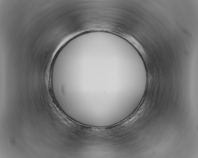 X0000113031052200908271051