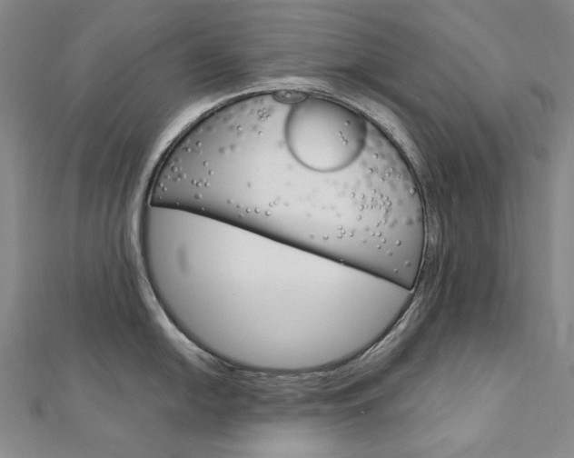 X0000113031054200908271051