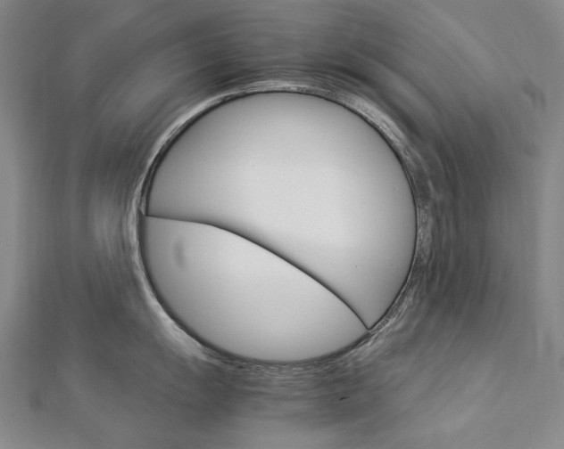 X0000113031055200908271051