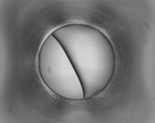 X0000113031056200908271051