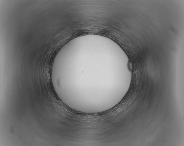 X0000113031058200908271050