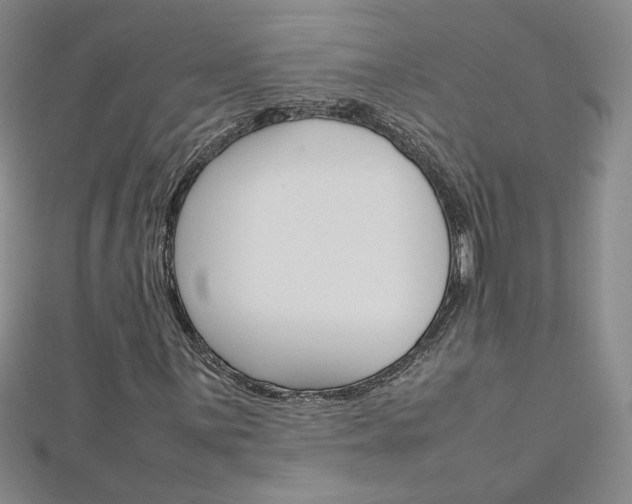 X0000113031059200908271050