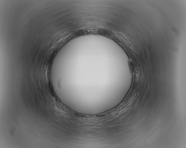 X0000113031060200908271050