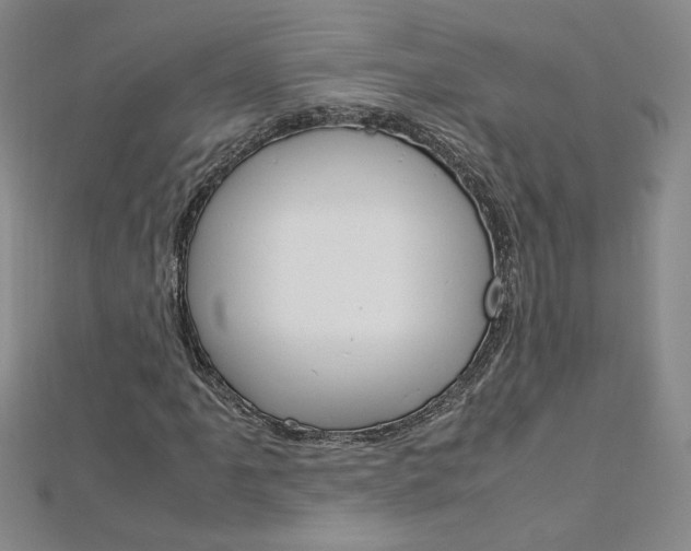 X0000113031061200908271050