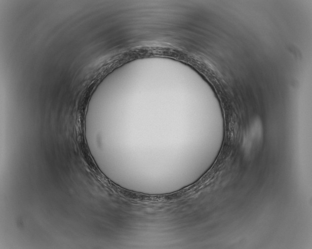X0000113031062200908271050