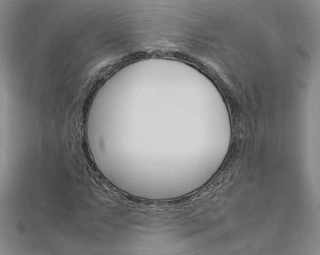 X0000113031063200908271050