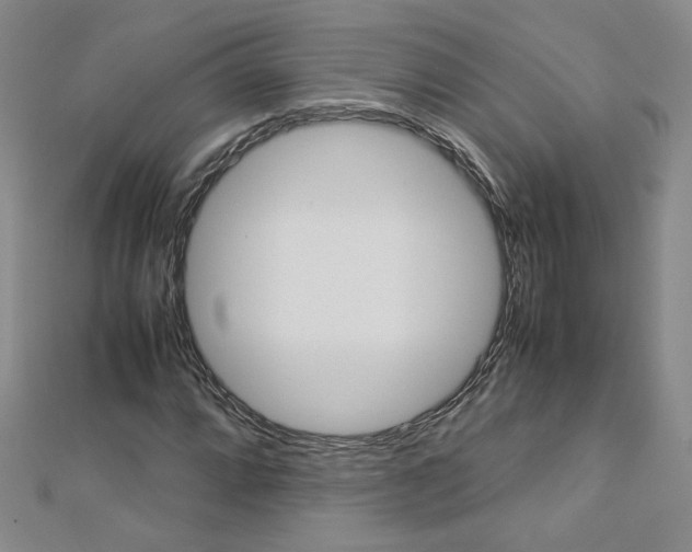 X0000113031064200908271050