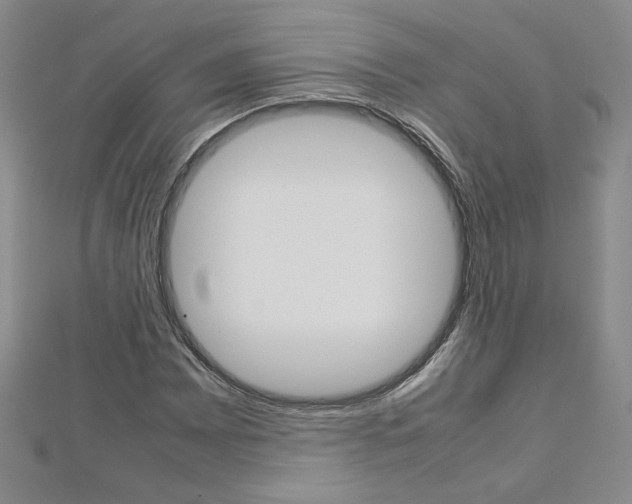 X0000113031065200908271050
