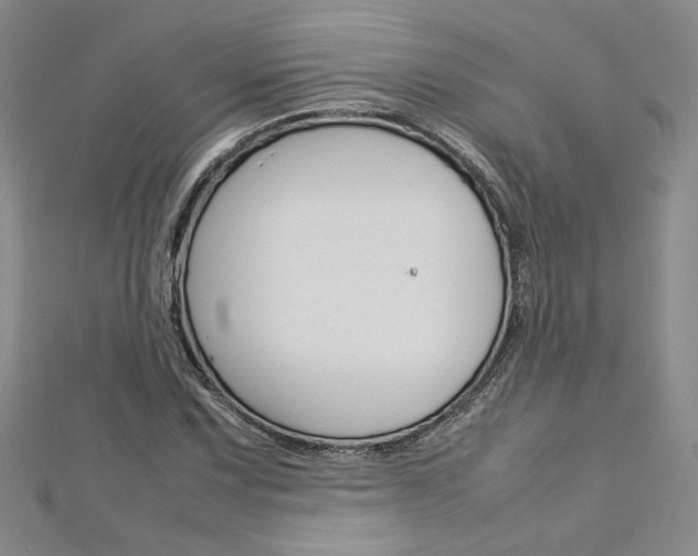 X0000113031067200908271050