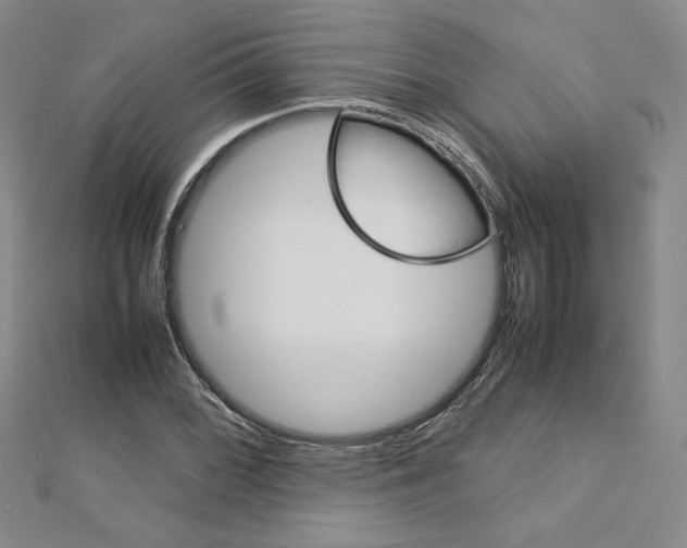 X0000113031068200908271050