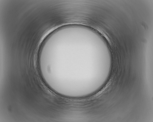 X0000113031069200908271050