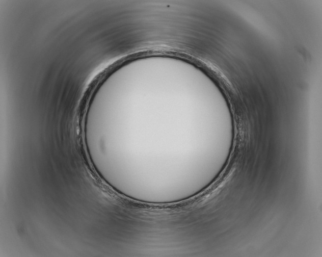 X0000113031070200908271050