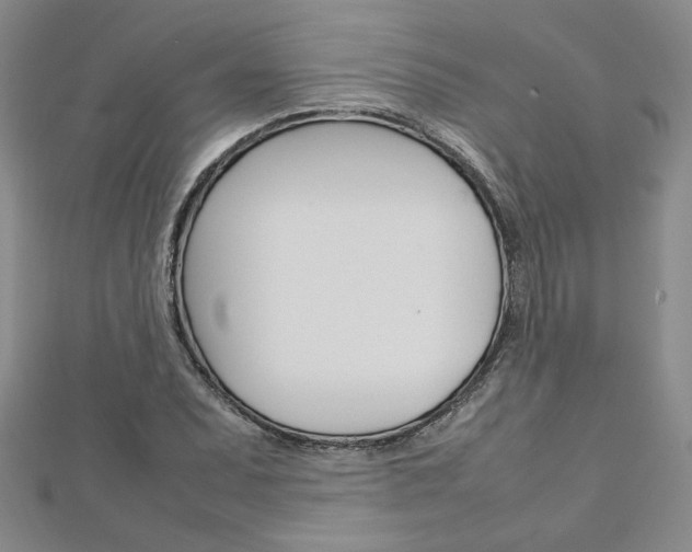 X0000113031071200908271050