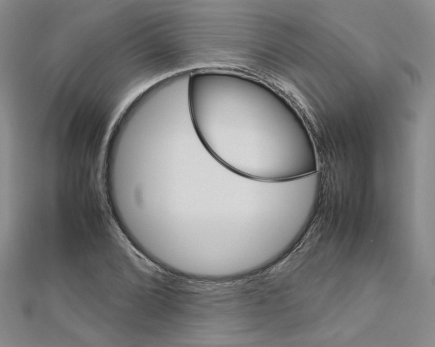 X0000113031072200908271050