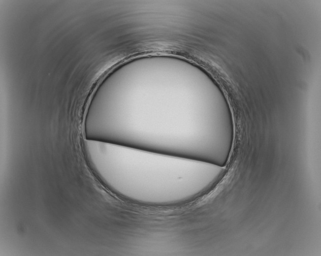 X0000113031073200908271050