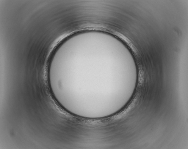 X0000113031074200908271050