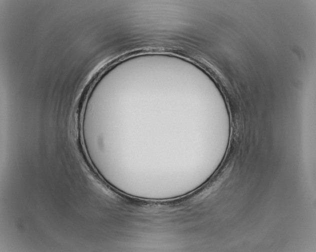 X0000113031075200908271050