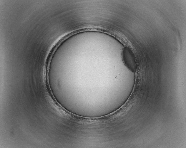 X0000113031076200908271050