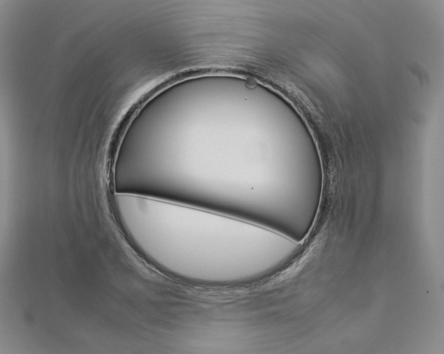 X0000113031077200908271050