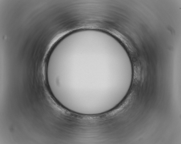 X0000113031078200908271050