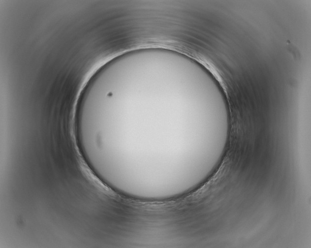 X0000113031080200908271050