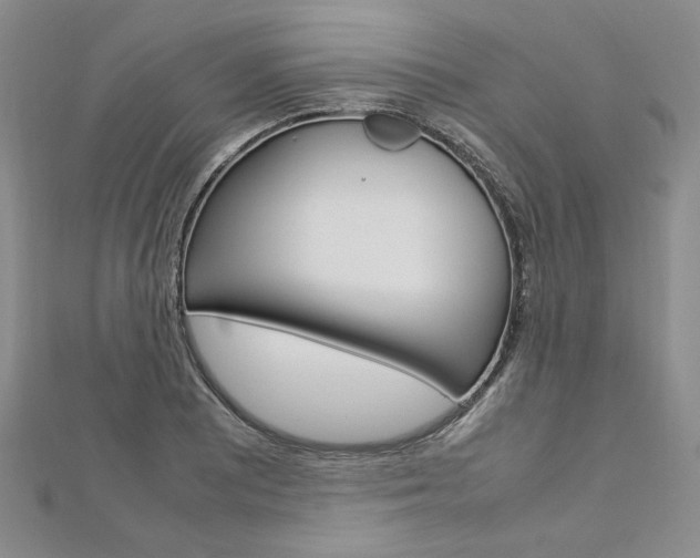 X0000113031081200908271050