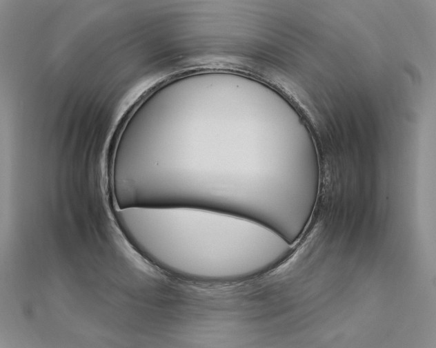 X0000113031082200908271050