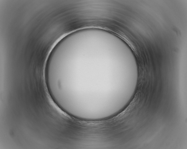 X0000113031084200908271050