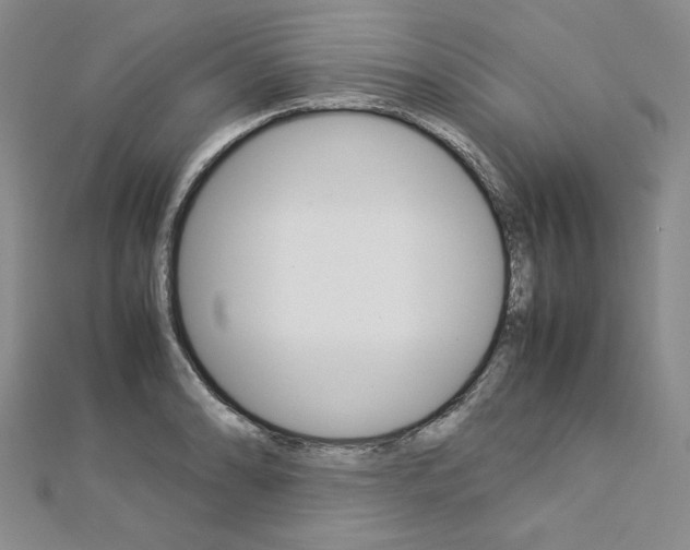 X0000113031086200908271050