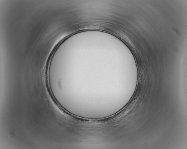 X0000113031087200908271050