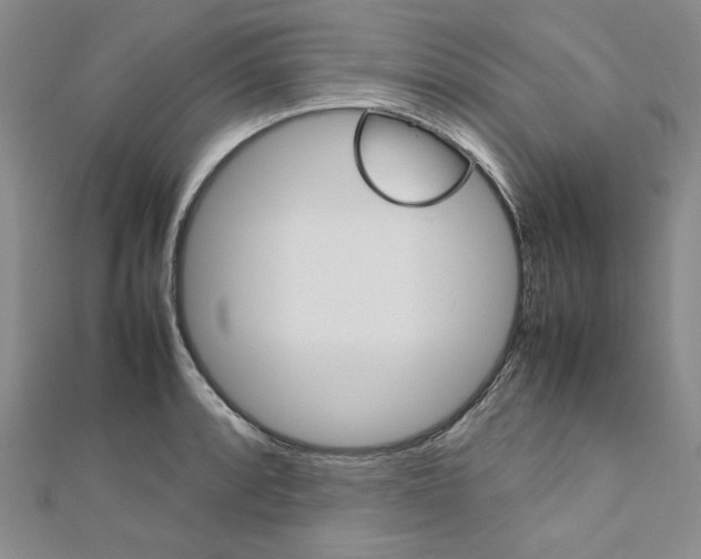 X0000113031088200908271050